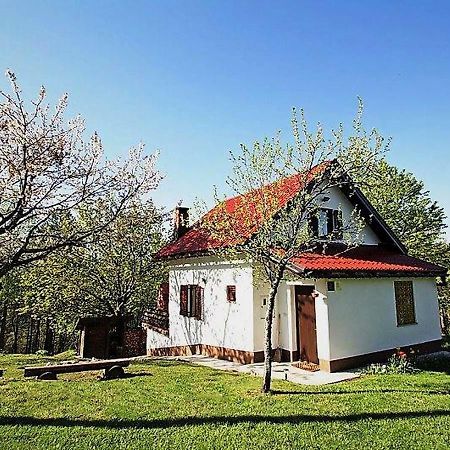 Holiday Home Coprnicka Hisa Skrad Extérieur photo
