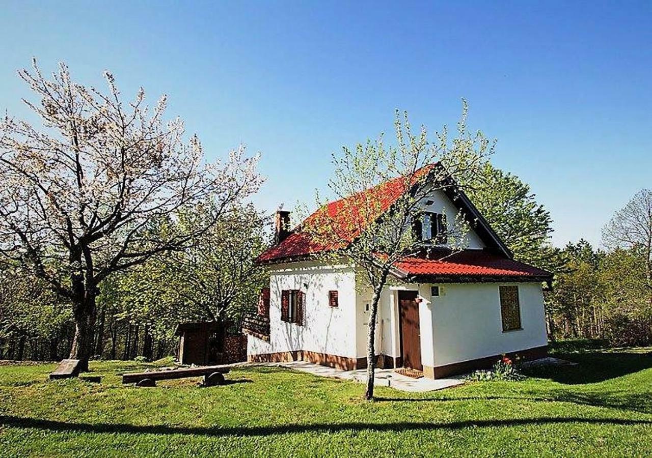 Holiday Home Coprnicka Hisa Skrad Extérieur photo